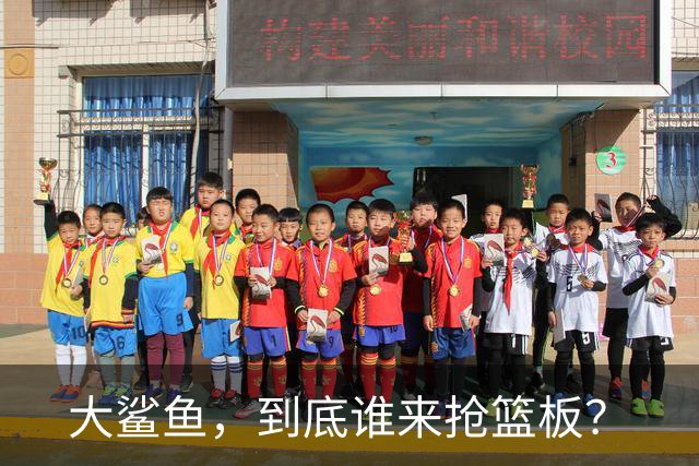 大鲨鱼，到底谁来抢篮板？