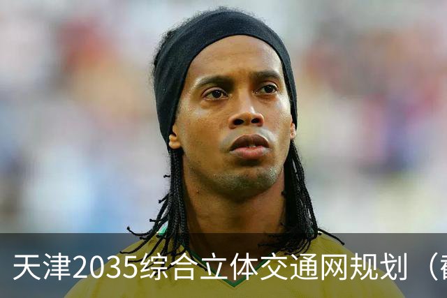 天津2035综合立体交通网规划（截至2026年10月建设进展）