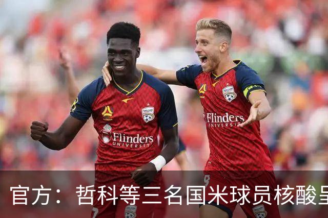 官方：哲科等三名国米球员核酸呈阳性 已进行隔离