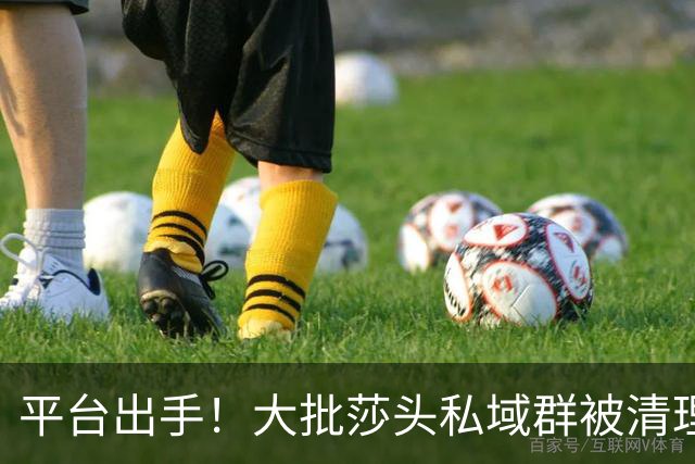 平台出手！大批莎头私域群被清理，饭圈乱象整治，全网纷纷叫好
