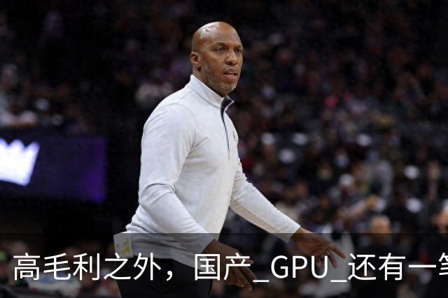 高毛利之外，国产 GPU 还有一笔 “软件账”